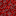 Crimson Nylium - Minecraft Item